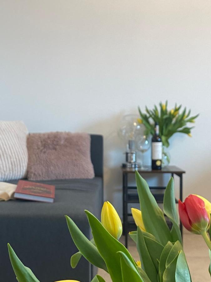 Apartament Coaster Energylandia -
