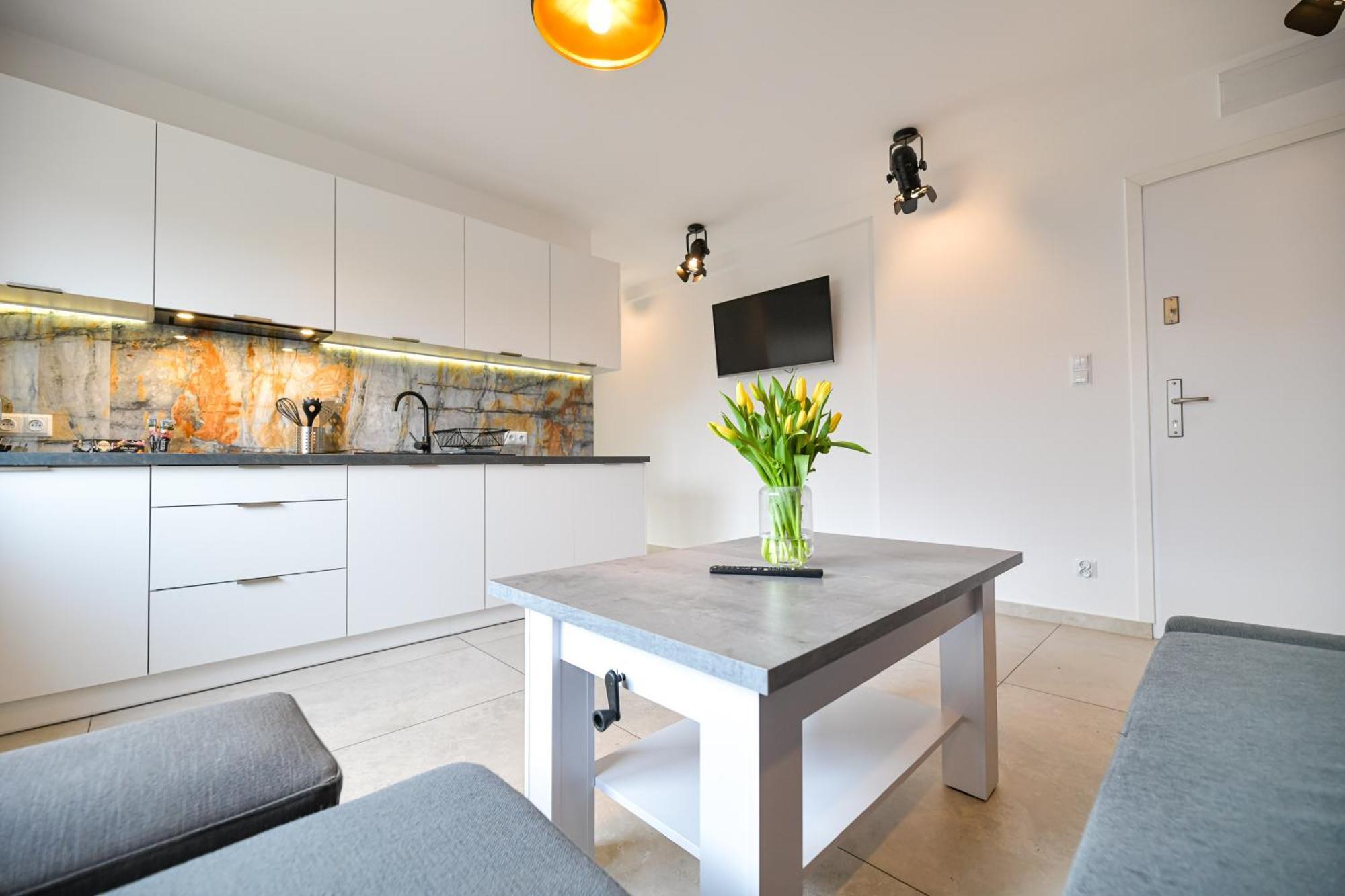 Coaster Energylandia - Apartment